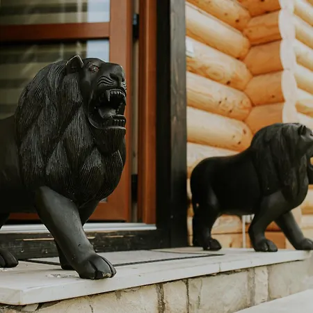 Villa айворі хаус Mykulychyn